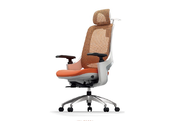 邁斯特人體工學(xué)椅B06，上海人體工學(xué)椅，【尺寸 價(jià)格 圖片 品牌